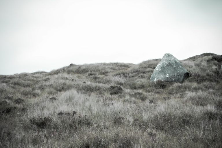 20170806-DSCF1944