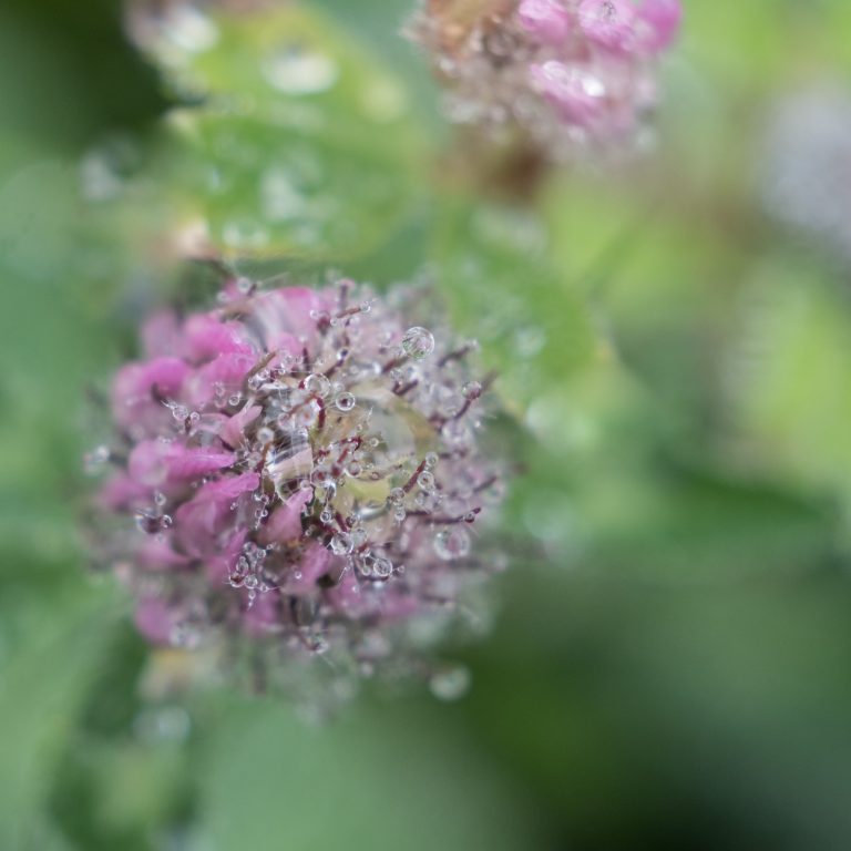 20170811-DSCF2447