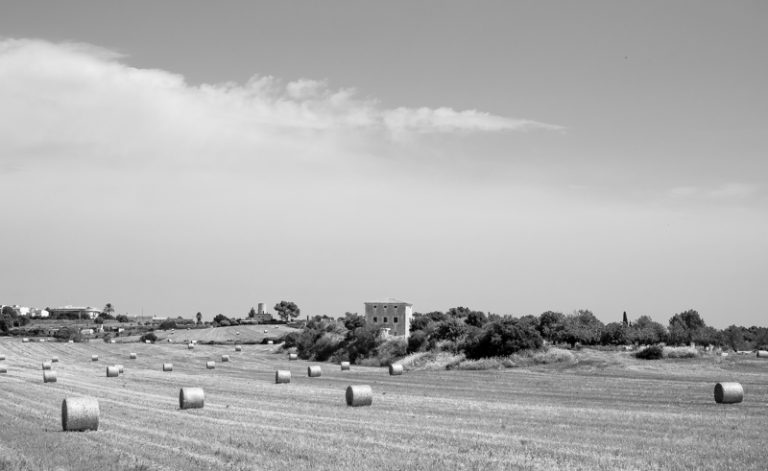 20180811-DSCF6071